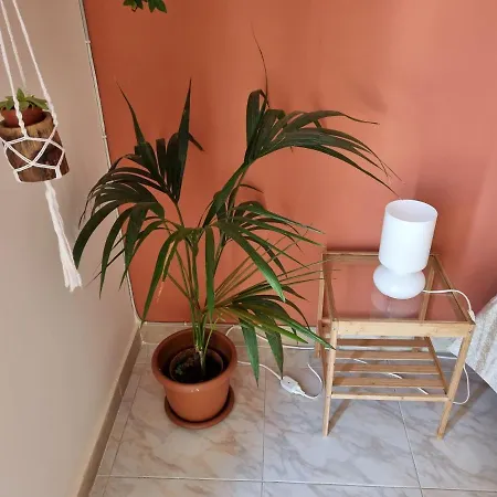 Etna Ocean Guest house *